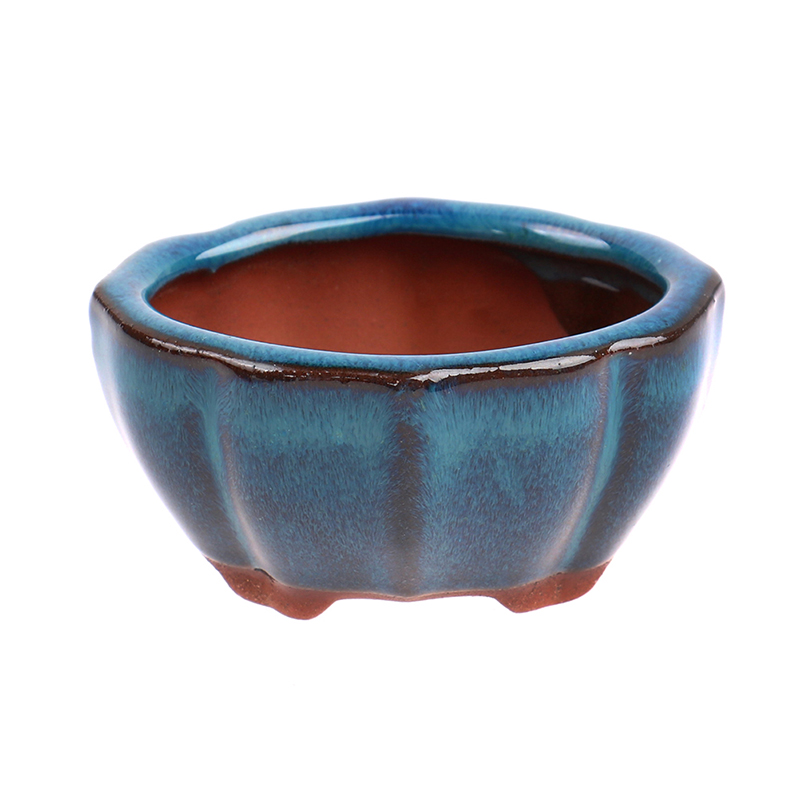1pcs Bonsai Mini Ceramic Flowe - đánh giá và giá Bonsai Garden Chinese Garden