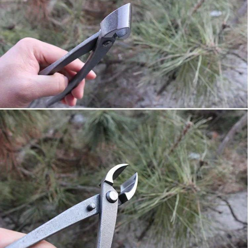 Bonsai Knob Cutter Concave Edg - đánh giá và giá Bonsai Tool Set
