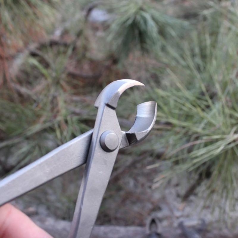 Bonsai Knob Cutter Concave Edg - đánh giá và giá Bonsai Tool Set