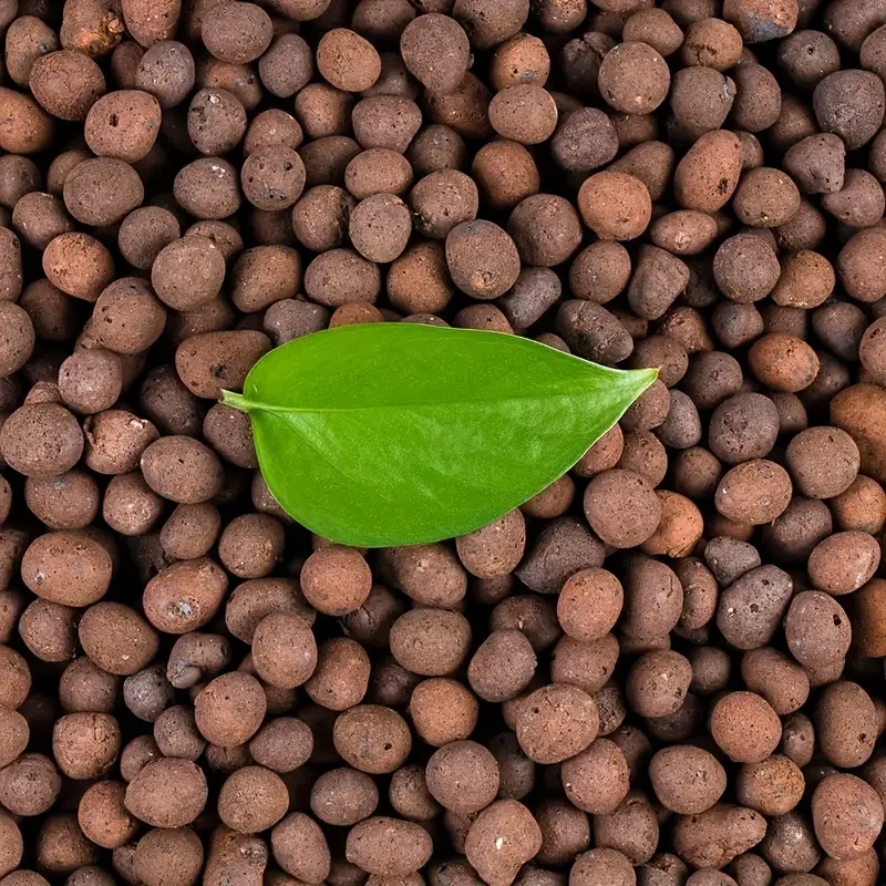 500g/packGarden Hydroponic Exp - đánh giá và giá Sphagnum Moss Bag
