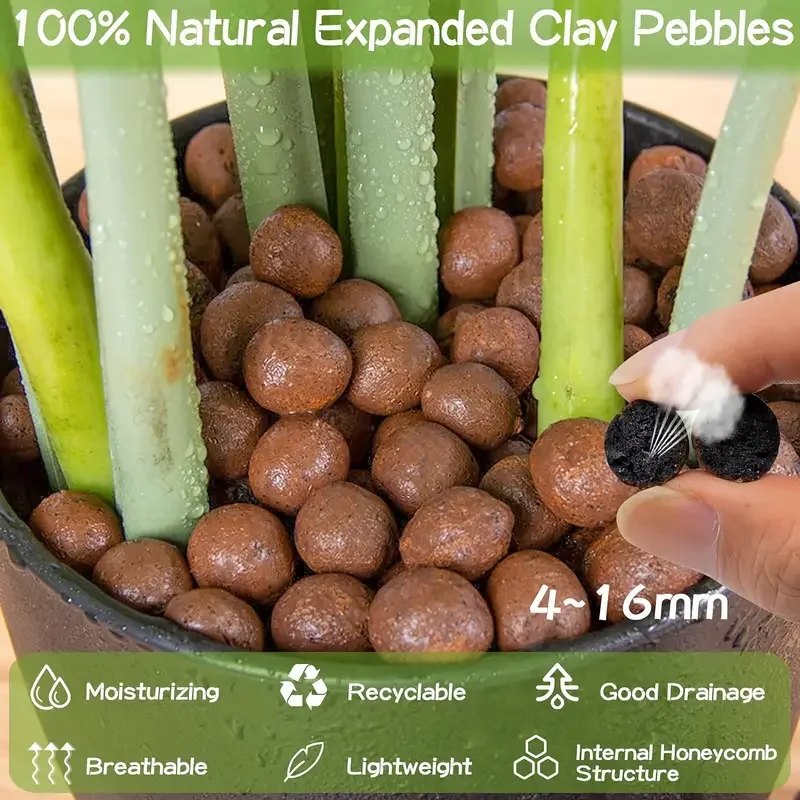 500g/packGarden Hydroponic Exp - đánh giá và giá Sphagnum Moss Bag