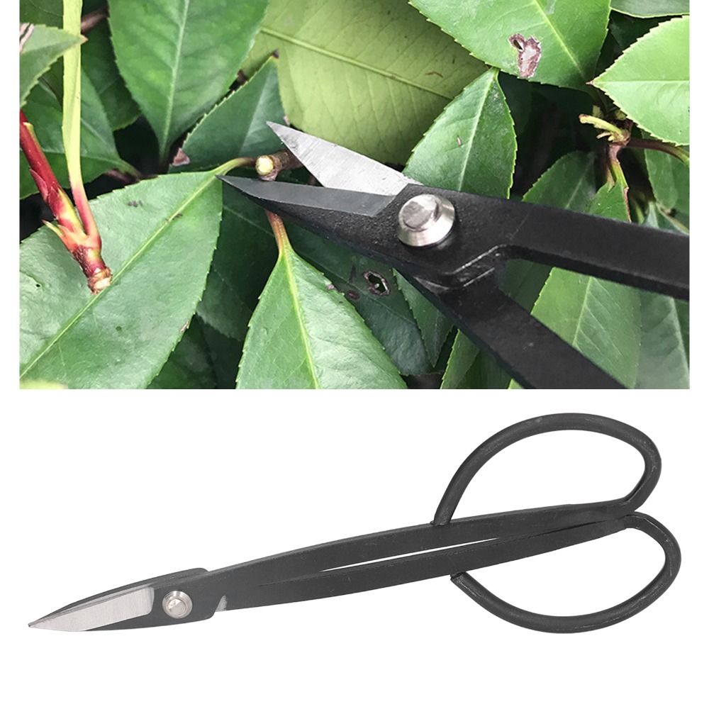 Stainless Steel Bonsai Scissor - đánh giá và giá Bonsai Tool Set