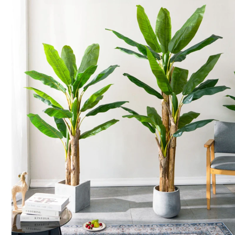 180cm/210cm Large Banana Tree  - đánh giá và giá Bonsai Garden Restaurant