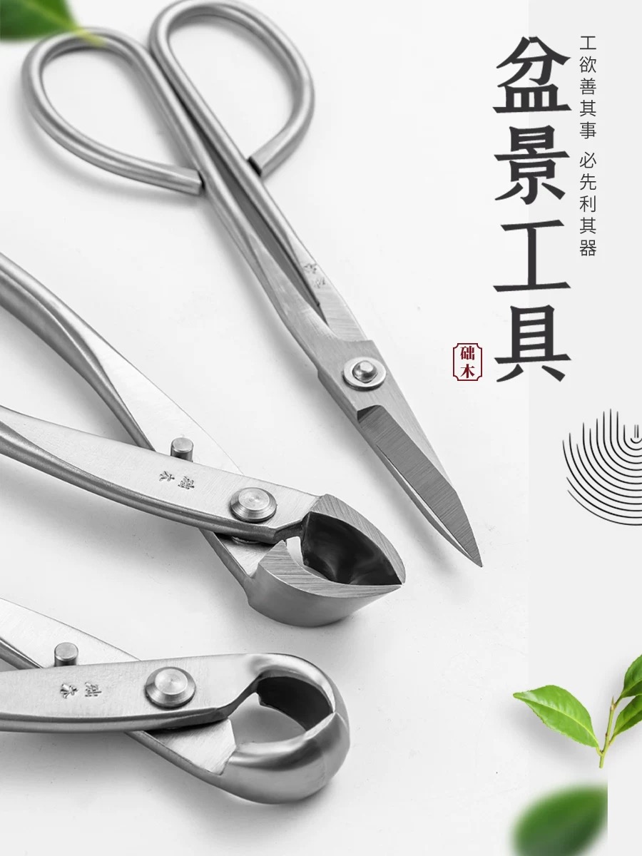 Bonsai Tools Set (3pcs) Branch - đánh giá và giá Bonsai Tool Set