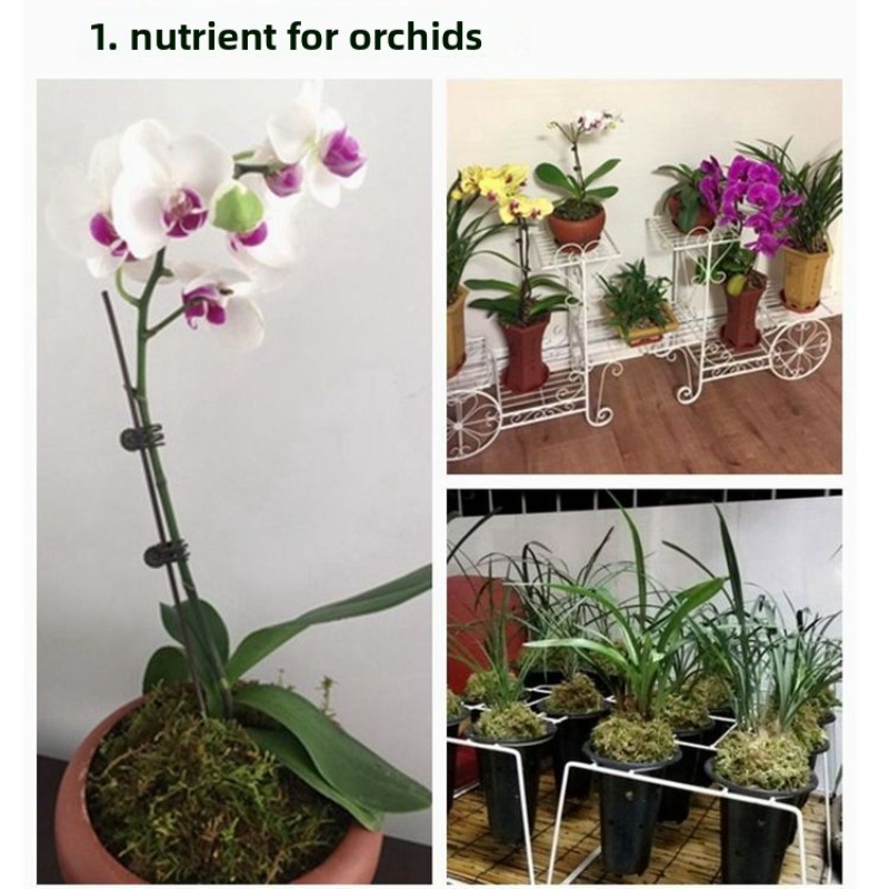 Dry Sphagnum Moss Orchid Succu - đánh giá và giá Sphagnum Moss Bag