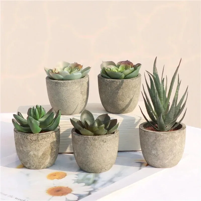 Mini Artificial Aloe Plants Bo - đánh giá và giá Bonsai Garden Sushi