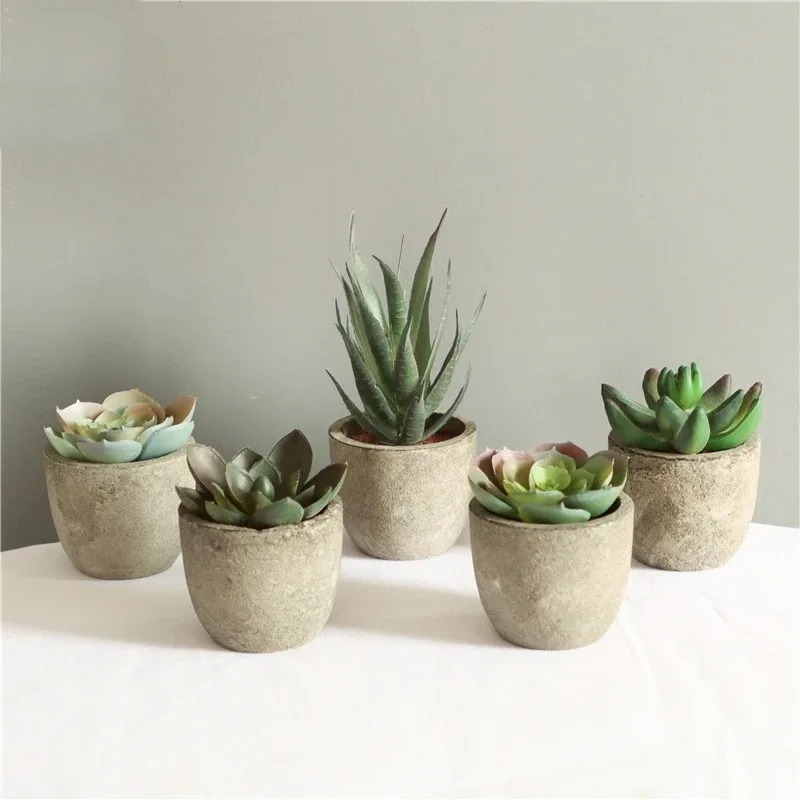 Mini Artificial Aloe Plants Bo - đánh giá và giá Bonsai Garden Sushi