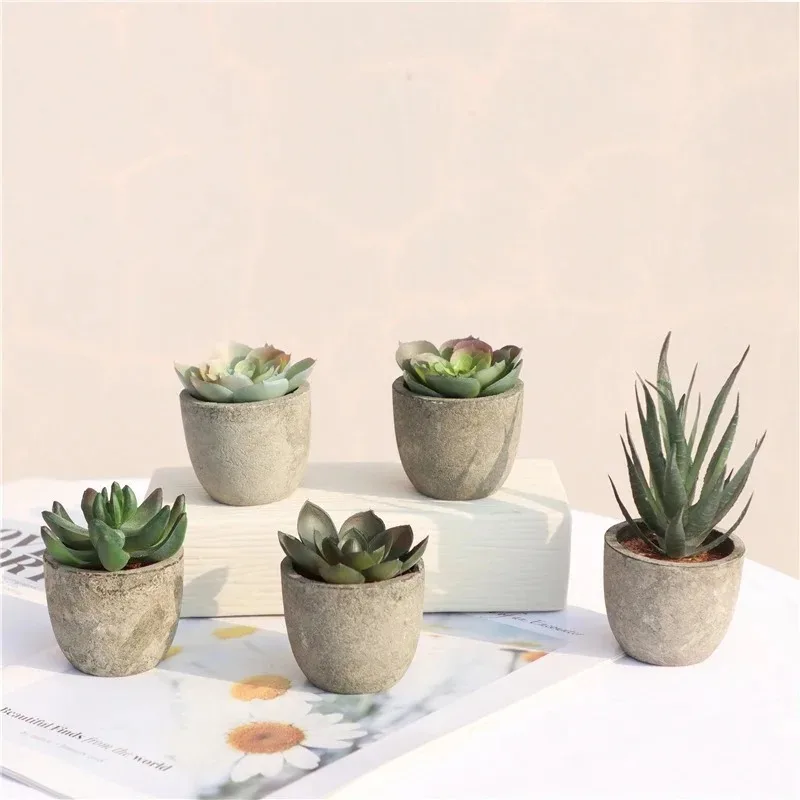 Mini Artificial Aloe Plants Bo - đánh giá và giá Bonsai Garden Sushi