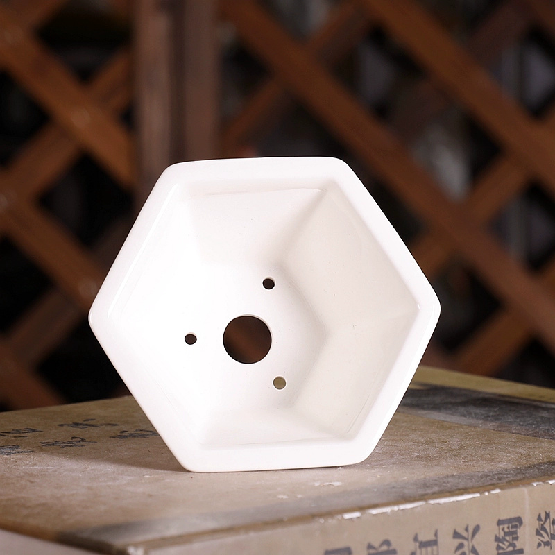 Porcelain Hexagon Bonsai Pot,S - đánh giá và giá Bonsai Garden Chinese Garden