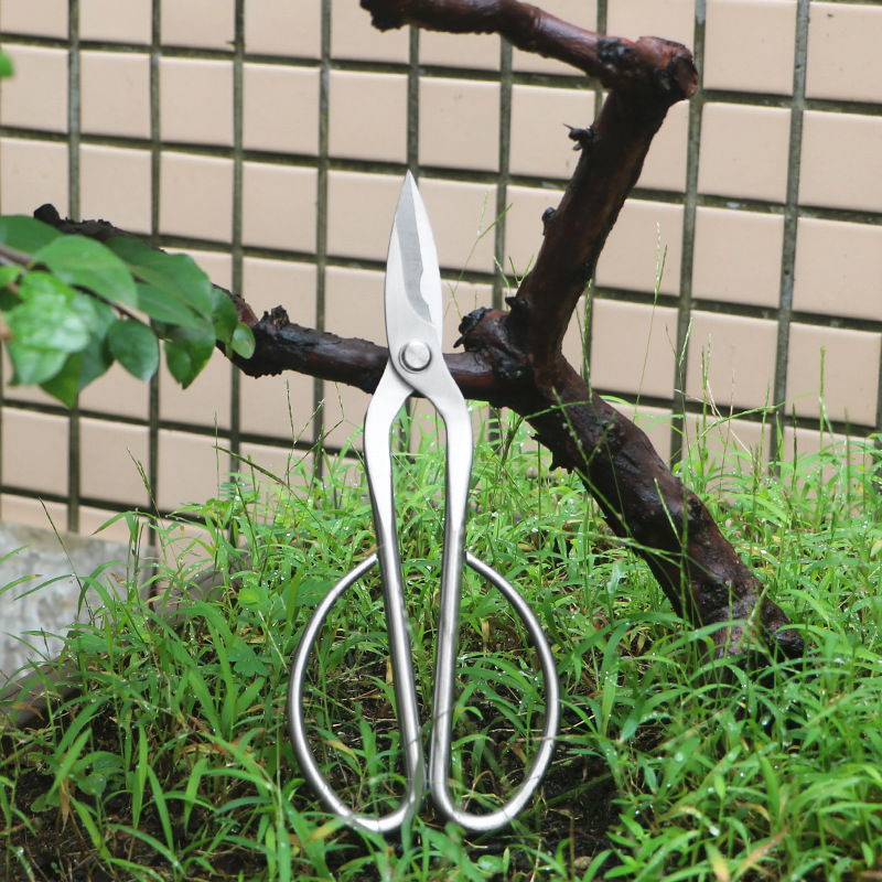 All-steel garden shears, folia - đánh giá và giá Bonsai Tool Set