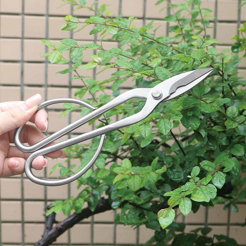 All-steel garden shears, folia - đánh giá và giá Bonsai Tool Set