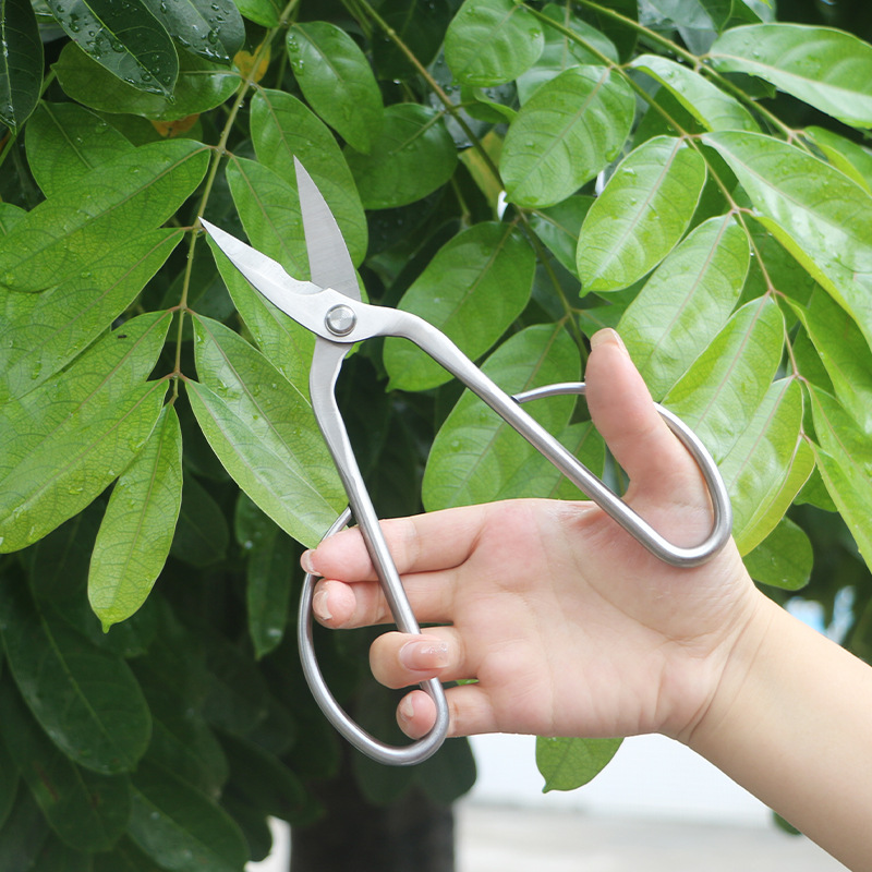 All-steel garden shears, folia - đánh giá và giá Bonsai Tool Set