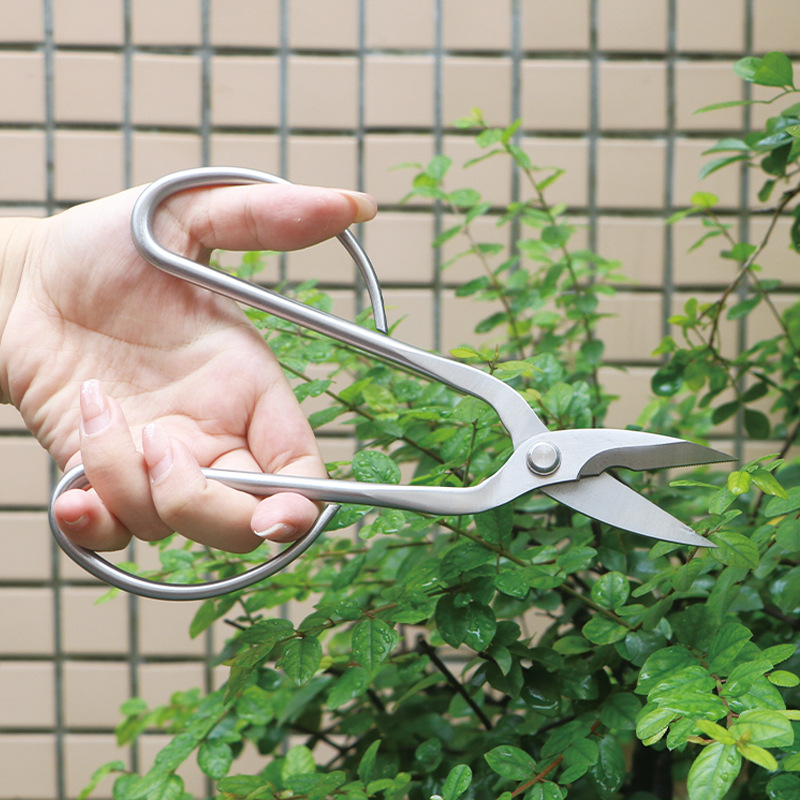 All-steel garden shears, folia - đánh giá và giá Bonsai Tool Set
