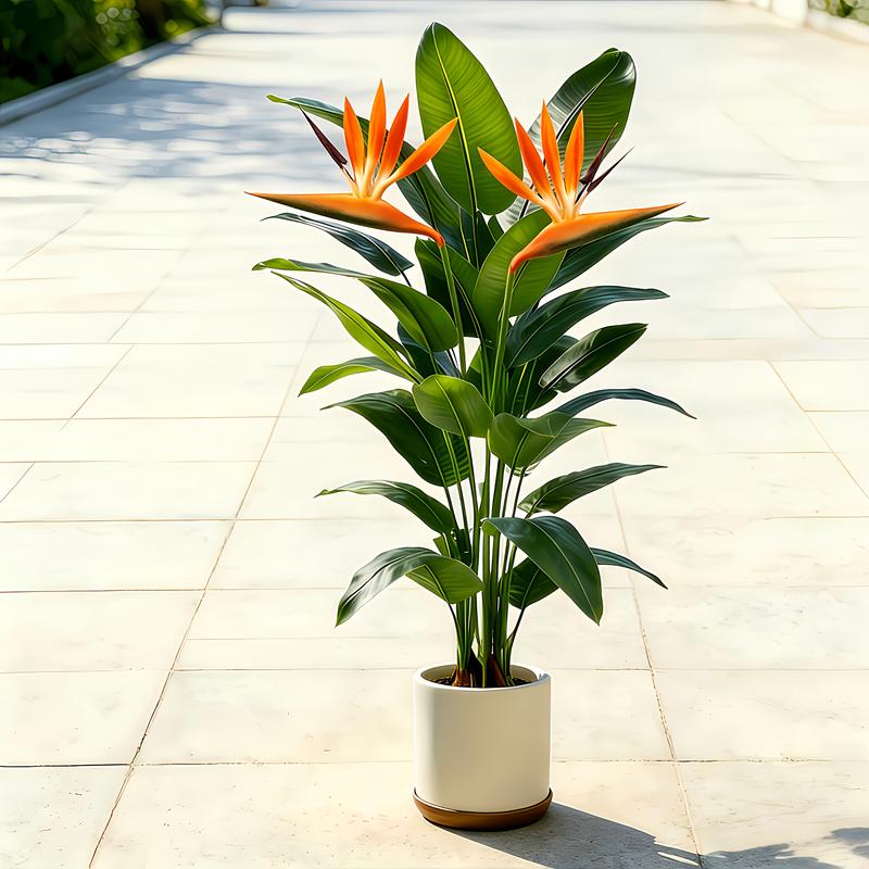 Lifelike Artificial Banana Lea - đánh giá và giá Bonsai Garden Sushi