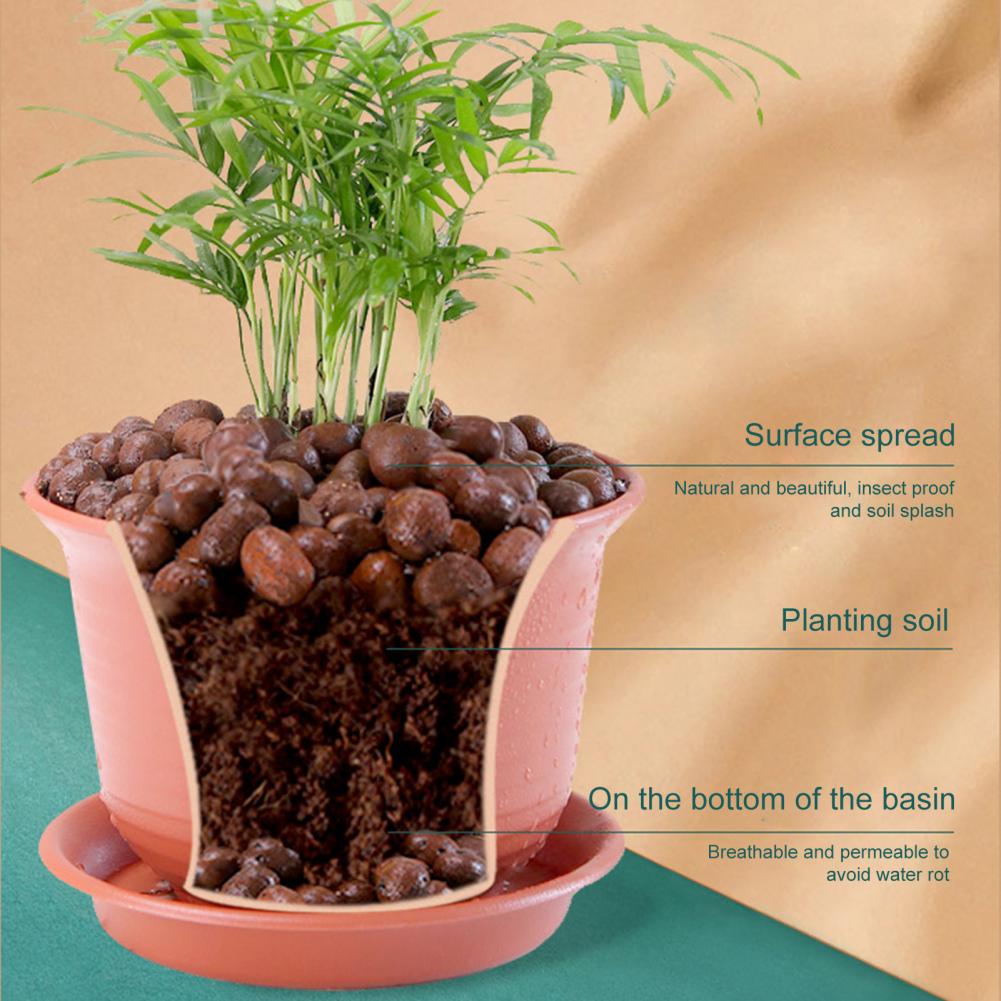 3.3 Lbs Clay Pebbles for Plant - đánh giá và giá Sphagnum Moss Bag