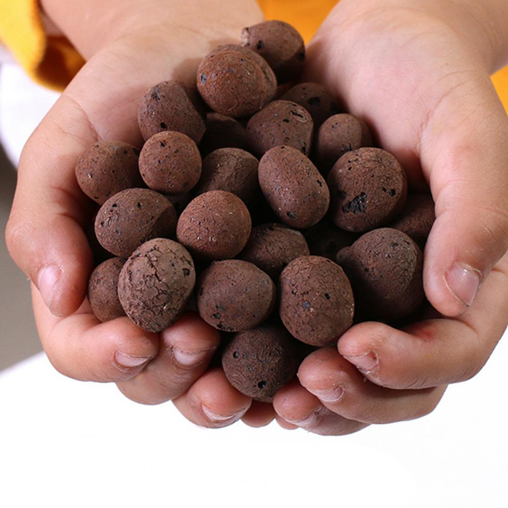 3.3 Lbs Clay Pebbles for Plant - đánh giá và giá Sphagnum Moss Bag