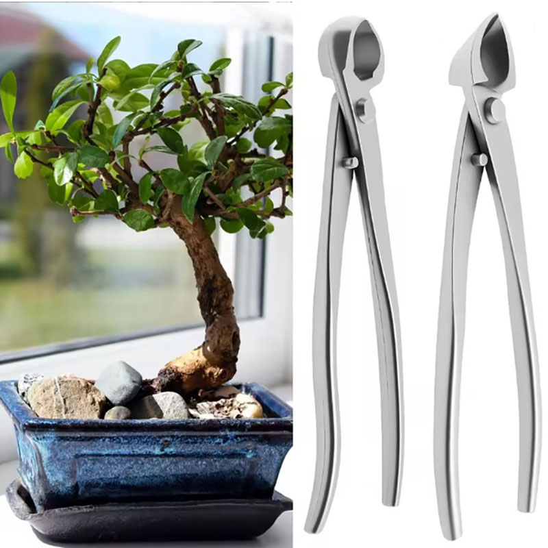 2pcs 210mm Stainless Steel Bon - đánh giá và giá Bonsai Tool Set
