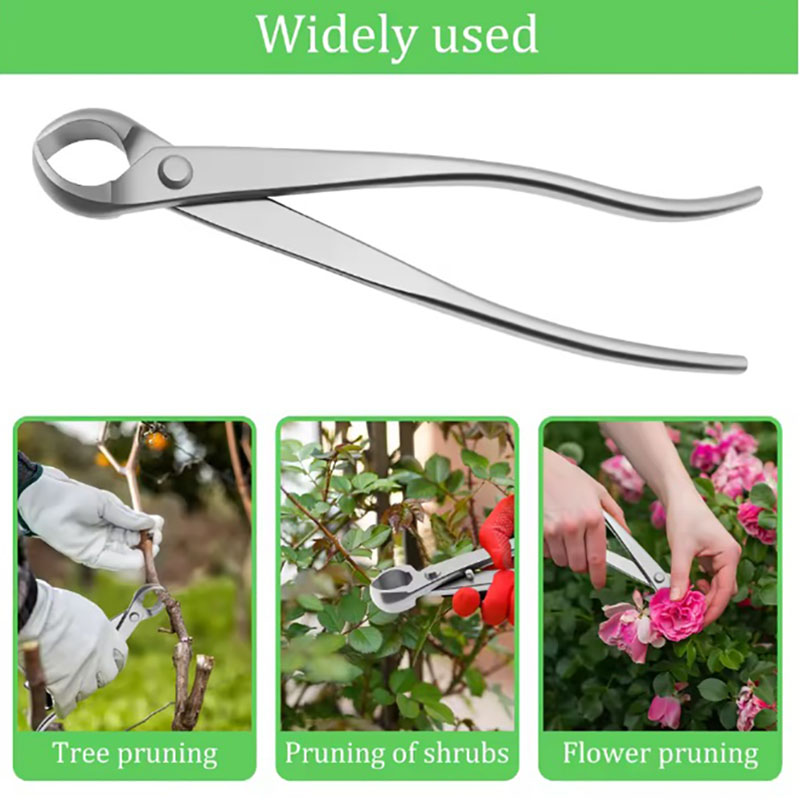 2pcs 210mm Stainless Steel Bon - đánh giá và giá Bonsai Tool Set