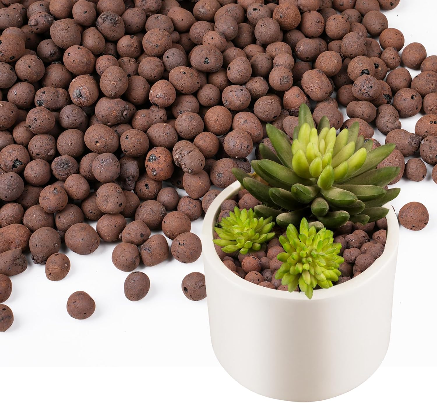 100/200G Clay Pebbles for Plan - đánh giá và giá Sphagnum Moss Bag