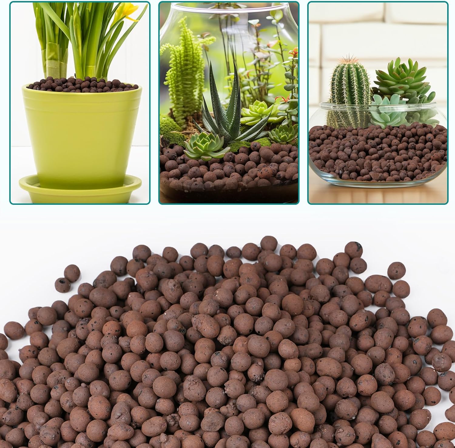 100/200G Clay Pebbles for Plan - đánh giá và giá Sphagnum Moss Bag