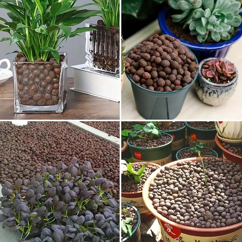 100/200G Clay Pebbles for Plan - đánh giá và giá Sphagnum Moss Bag
