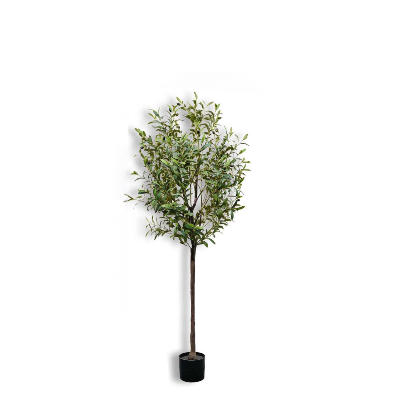 150cm/59In Artificial Olive Tr - đánh giá và giá Bonsai Garden Sushi