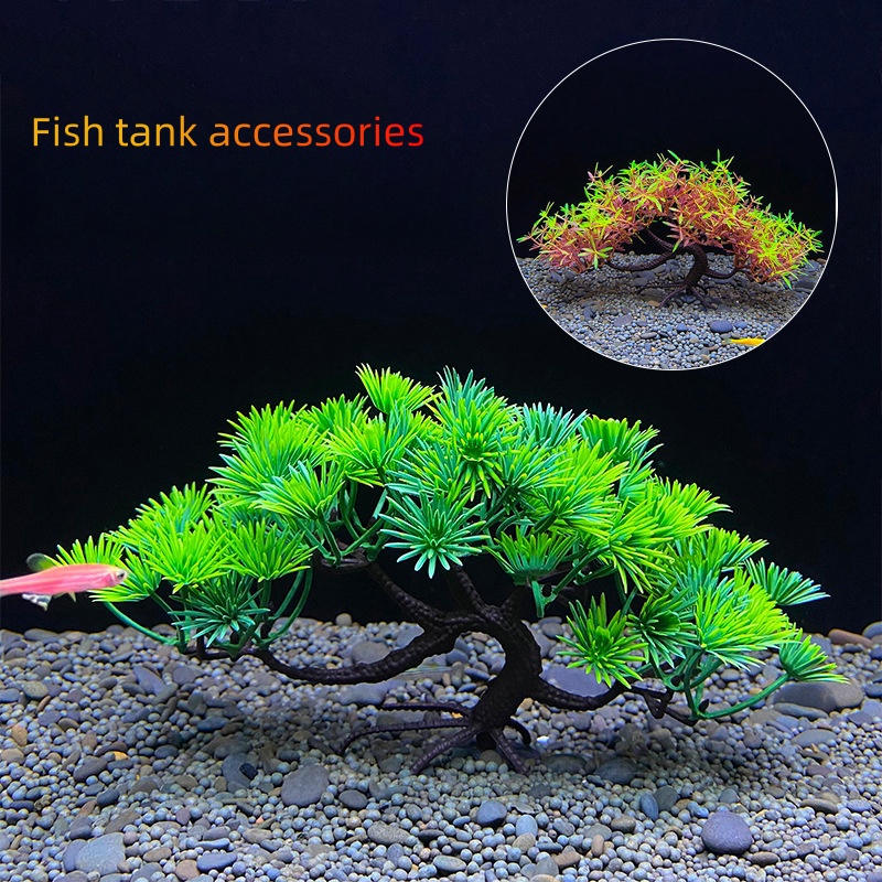 Aquarium bonsai tree, plant, f - đánh giá và giá Bonsai Garden Sushi