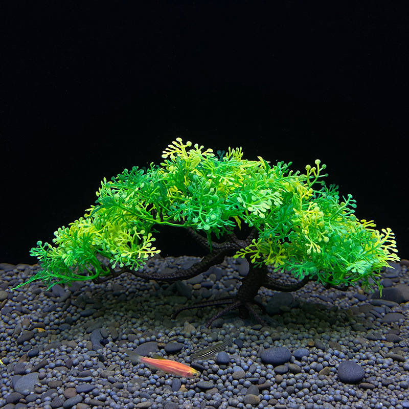 Aquarium bonsai tree, plant, f - đánh giá và giá Bonsai Garden Sushi