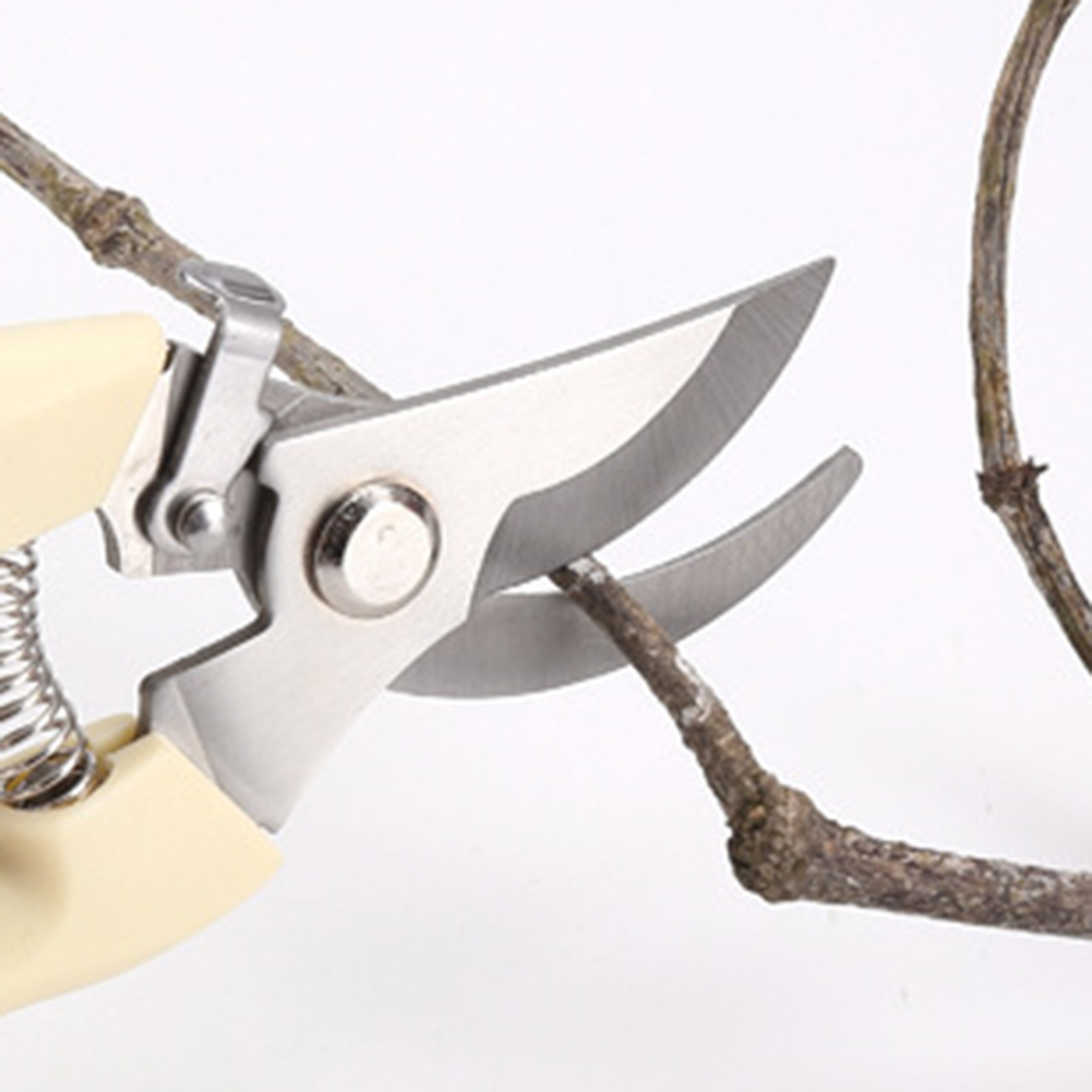 Pruner Shears Hand Tools Bonsa - đánh giá và giá Bonsai Tool Set