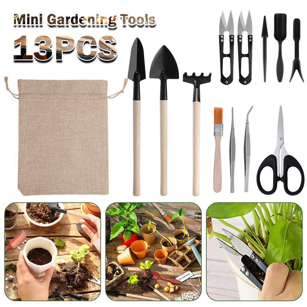 Succulent Plants Tools Mini Ga - đánh giá và giá Bonsai Tool Set