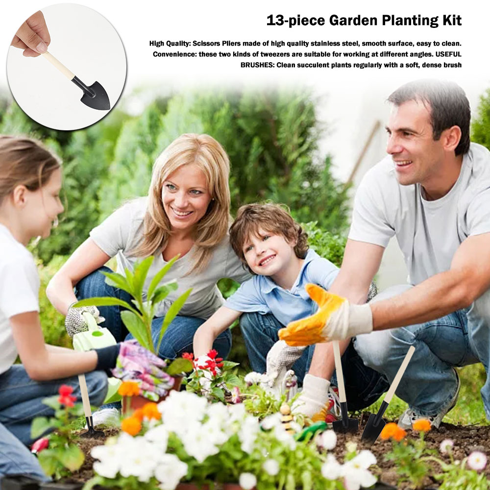 Succulent Plants Tools Mini Ga - đánh giá và giá Bonsai Tool Set