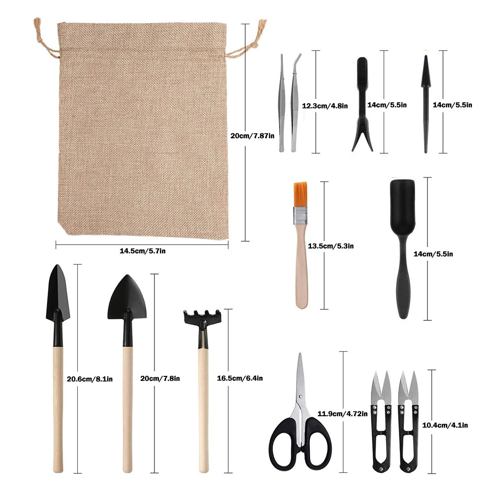 Succulent Plants Tools Mini Ga - đánh giá và giá Bonsai Tool Set