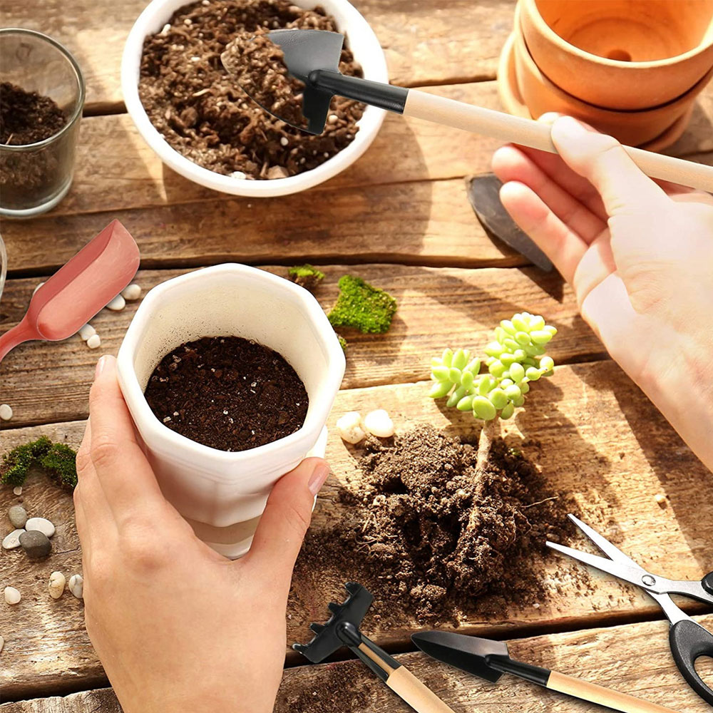 Succulent Plants Tools Mini Ga - đánh giá và giá Bonsai Tool Set