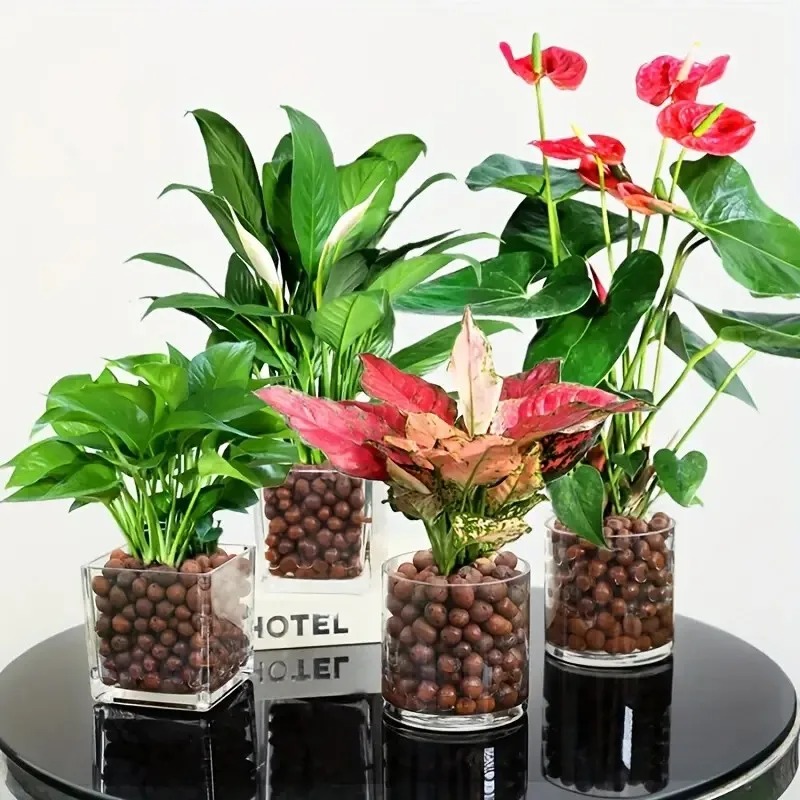 1pc Garden Hydroponic Expanded - đánh giá và giá Sphagnum Moss Bag