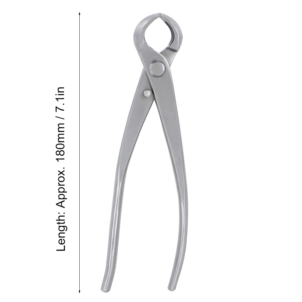 Concave Knob Cutter 180mm Stai - đánh giá và giá Bonsai Tool Set