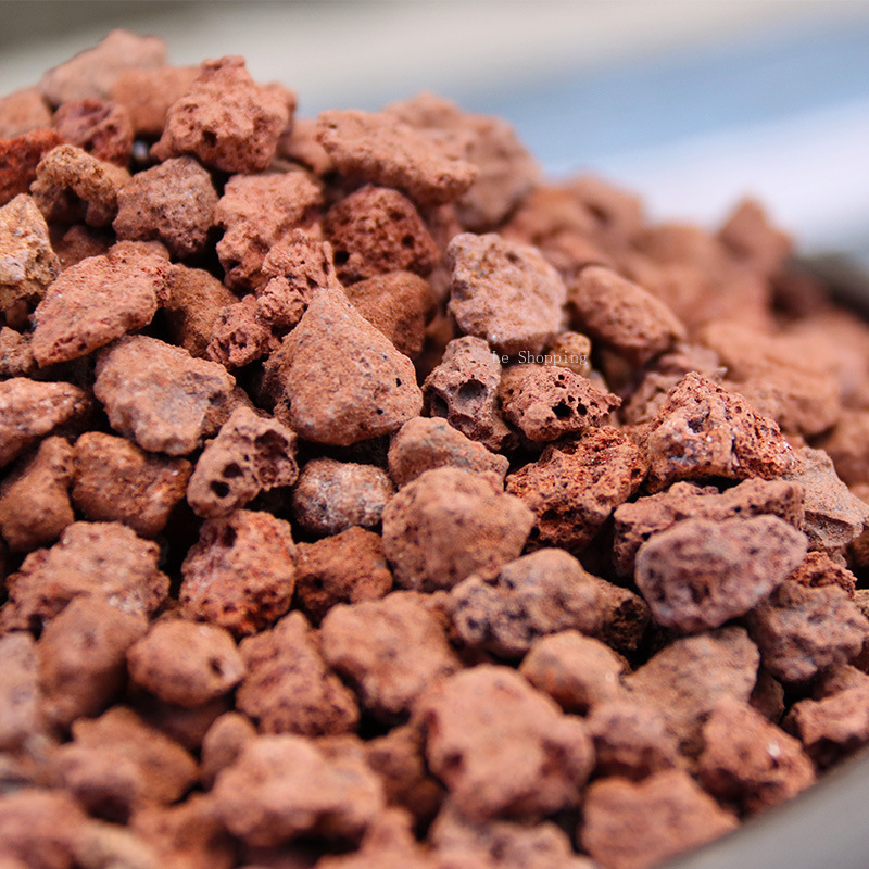 500g/1000g Red Volcanic Rock S - đánh giá và giá Sphagnum Moss Bag